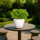 Deep Dream 6 Inch Plant Pot - Ceramic Planter with Drainage Hole and Trays, Modern Round Flower Pot, Planters for Indoor Outdoor Plants, Home Garden Decor, White