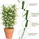 4 Pack Tomato Cage for Garden Plant Support, 24 inches Small Tomato Cages Tomato Trellis with Adjustable Rings, Plant Stakes for Peony Support, Tomato Stakes Rings for Climbing Plants