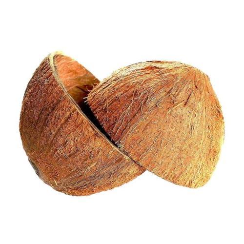 Sri Care® Natural Coconut Bowl Halves Coconut Shell For Handicraft Or Pet Feeder And Candle Maker And Christmas And Halloween Decorations