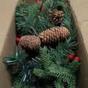 Dual Color Change&Timer 2 Pack 21 Inch Christmas Tree Outdoor Urn Filler Warm White&Colored Lights 8 Mode Pinecones Red Berries Battery Operated Tripod Stake Christmas Porch Decor Pathway Holiday Yard