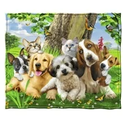 Dawhud Direct Fleece Throw Blanket By Howard Robinson Puppy And Kitten Pals 50x60 in
