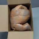 Lenwen 5 Pcs Bearded Dragon Stuffed Animal Set Easter Earth Day Gifts 26 Inch Large Lizard Iguana Plush Toy with 4 Baby Lizards, Simulation Plushies for Boy Girl Birthday Pet Party Favor(Brown)