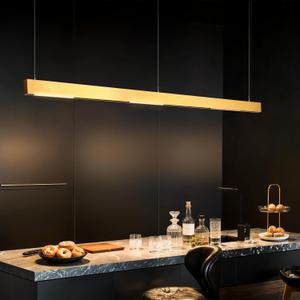 SCON XTB106-P Updated Wire Drawing Pendant Magnetic Track Lighting System Aluminum Linear Rail Section, Input Power Track for LED Lamp Light Head (100cm/39.4inch/No Driver/Brushed Gold)