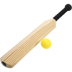 Cricket for Parent Sports Game Pattern Cricket Bat and Ball Fun Interactive Beach for Boys