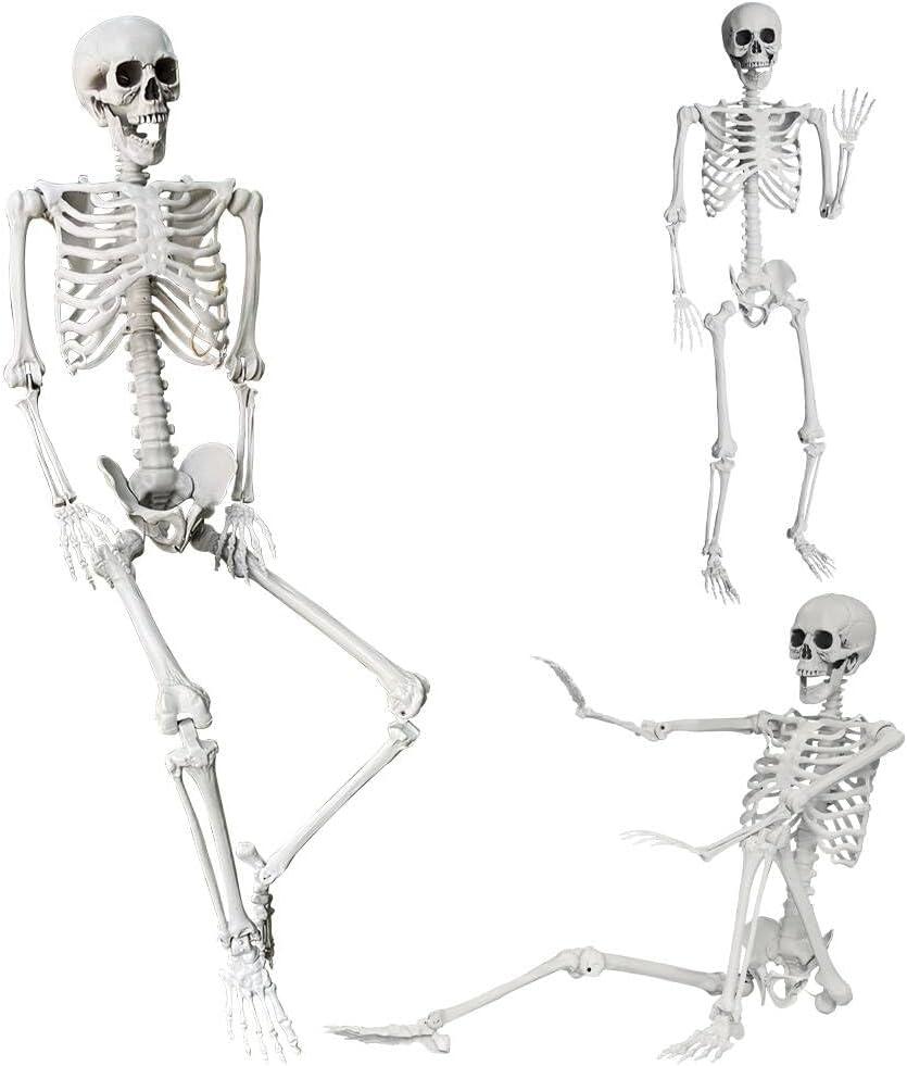 Wocst 5.4Ft/165cm Halloween Skeleton Full Body Life Size Human Bones with Movable Joints for Indoor Outdoor Halloween Props Decorations