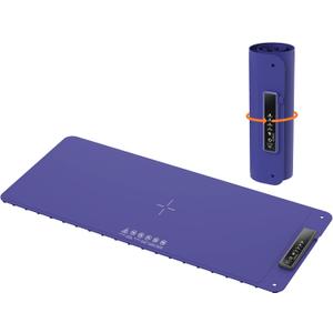 Warming Mat for Food, Electric Warm Tray, Full Surface Heating Food Warmer, 4 Temperature Levels, 5 Hours Auto Shut-Off Function, for defrosting, Buffets, Parties, Holidays and Everyday Use, Blue, L