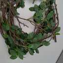 Htmeing Artificial Eucalytus Green Branches Faux Ficus Twig Home Office Shop Decoration (2PCS)