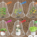 OZMI Garden Chicken Wire Cloches for Plants Protectors from Animals 16" D x 12" H 6 Pcs Rustproof Plant Cages for Outdoor Vegetable Flowers Garden Large Assemble-able Metal Cloches White