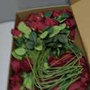 Coferset 50pcs Burgundy Artificial Roses Flowers in Bulk,Velvet Fake Rose with Long Stem Realistic Artificial Roses for Wedding Bouquets, DIY Centerpieces, Romantic Home & Party Decorations