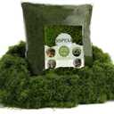 16OZ Fake Green Moss for Crafts, Artificial Moss for Potted Plants Decor, Bulk Moss for Indoor/Outdoor Use, DIY Floral Arrangements, Terrariums & Fairy Gardens (Dark Green)