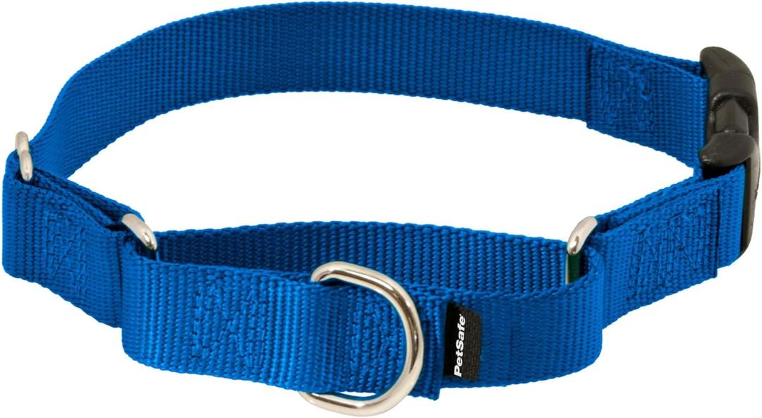 PetSafe Martingale Collar with Quick-Snap Buckle - Adjustable No-Slip Quick Release Dog Collar - Everyday Wear No-Pull Training Aid - 1" Wide - Large - Royal Blue