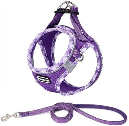 Mercano Soft Mesh Dog Harness and Leash Set, No-Chock Step-in Reflective Breathable Lightweight Easy Walk Vest Harnesses with Safety Buckle for Small Dogs, Cats (S, Purple)