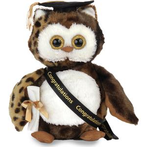 Bearington Wisdom Class of 2025 Graduation Plush Owl Stuffed Animal, Black Cap with Diploma & Sash, 8.5 Inch