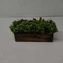 Winlyn 14" Artificial Boxwood Plants in Rectangular Wood Planter Farmhouse Greenery Arrangement Centerpiece Faux Potted Herb Plant for Wedding Dining Room Table Kitchen Windowsill Mantel Shelf Dcor