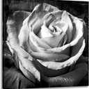 Bathroom Rose Flower Picture Wall Art Black and White Floral Prints on Canvas for Bedroom Girls Room Decor 24x24