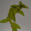 Toran Bandanwaar Artificial Leaf Patta Garland for Wall Door Hanging Home Temple Festival Wedding Function Party Decoration Dcor and Gifting (Design 2)