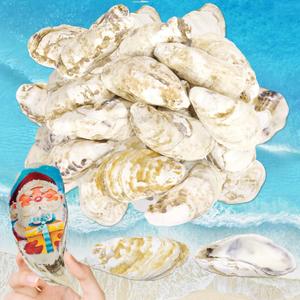 VOKOY 16 Pcs 4"-5" Large Oyster Shells, Natural Oyster Shells Bulk Sea Shells for Crafts Home Decor Vase Filler Xmas Ornaments DIY Beach Themes Wedding Summer Party