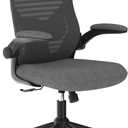 Ergonomic Office Chair for Long Hours & Lower Back Pain Relief  Memory Foam Seat Cushion, Adjustable Padded Lumbar Support, and Padded Flip-up Armrests, Ideal for Office or Study, Dark Gray
