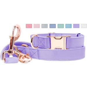 Soft Leather Dog Collar and Leash (6.6') Set - Stylish Rose Gold Heavy Duty Metal Buckle, 4 Adjustable Lengths Leash for Small Medium Large Dogs - Comfortable & Easy to Clean (M, Light Purple)