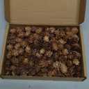 200PCS Christmas Natural Pine Cones Mini Fall Decorations Pinecones Ornaments Bulk Small Pine Cones for DIY Crafts Thanksgiving Fall Winter Christmas Wedding Decor Vase Filler Decor