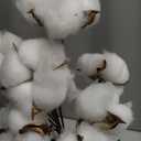 1 Set Bouquet Cotton Dry Fake Foam Flowers Dry Cotton Ball Stems House Decorations for Home Party Decorations Fake Plant Spray Natural