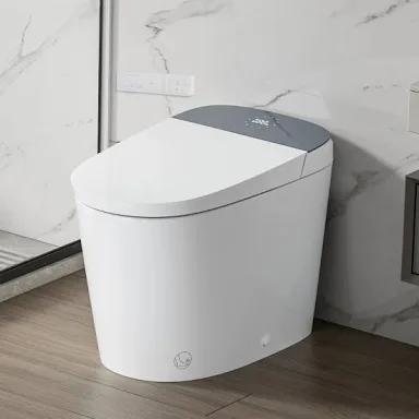 Casta Diva Smart Toilet, Auto Open/Close, ADA Compliant, Heated Seat, Dual Flush, Concealed Tank, 1000 Gram MaP | CD-U010