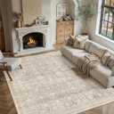 Beige 9x12 Area Rug Neutral Distressed Carpet
Washable, Low Pile, Non Slip, Large Throw Rug for Living Room, Bedroom, Playroom, Office