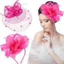 2 Packs Fascinator Hats for Women Tea Party Derby Hats Mesh Flower Feathers Headbands and Clips Tea Party Headwear