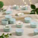 Mint Breeze Scented Tea Lights Candles  Bright Green  6 Hour Burn  100% Palm Wax  Scented Tealight Candles for Mornings Office Refresh, Outdoor Use  48 Pack Scent Votive Candle