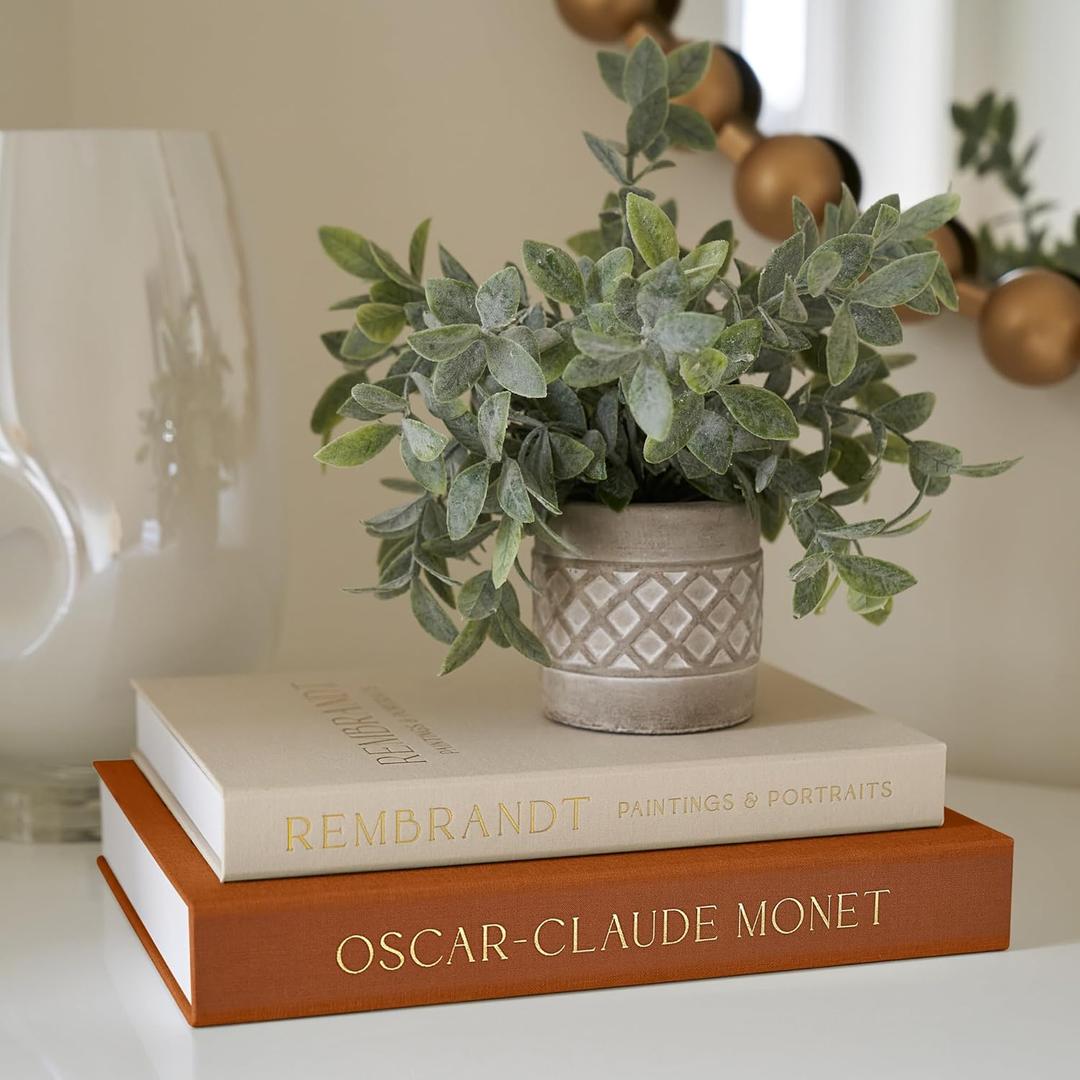 Beautiful Decorative Books - Set of 2 Linen Boxes Enhance Your Coffee Table, Bookshelf or Mantle Decor - Aesthetic Fake/Faux Books for Modern Home Decoration, Photo Storage and as a Keepsake Box
