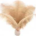 Ballinger Large Champagne Ostrich Feathers - 24pcs 12-14inch Boho Feathers for Vase and Home Decor Wedding Party Centerpieces (12-14 inch - 24Pcs)