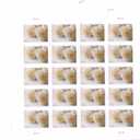 USPS 575900 Series Wedding Roses Commemorative Stamp Scott 4520 Sheet of 20 Forever Stamps
