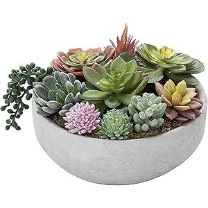MyGift 8 Inch Round Modern Artificial Succulent Arrangement Potted in Gray Concrete Plant Bowl, Assorted Faux Mini Succulents in a Decorative Planter Pot