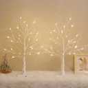 White Birch Tree with LED Lights, Lighted Birch Tree for Tabletop, Battery Operated 24 LED Warm White Tree Lamp, 2FT Mini Christmas Tree Decor for Indoor Home Christmas Decorations (2 Pack, Timer) (2PCS)