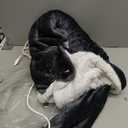 Wearable Heated Blanket with Foot Pocket, Electric Wearable Throw Blanket with Sleeves, Hood, Portable Heated Blanket with 8 Heat Settings, 1-10 Hours Auto Shut-off, Gift for Family, Friends, 50*70" (Grey)