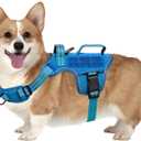 Small Dog Harness, Heavy Duty Tactical No Pull Dog Harness, No Choke, Easy On and Off Pet Vest with Molle System, Adjustable Reflective Dog Vest with Breathable Padded for Walking Hiking Training (S(Neck:16-22",Chest:20-28"),18-35 lbs, Blue)