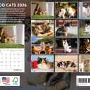 Calico Cat Calendar 2026 Monthly Wall Calender 12 Month | American Made In The USA