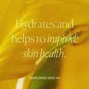 Well People Expressionist Volumizing Mascara, Long-wear Mascara For Fluffy Lashes, Moisturizing & Nourishing Formula, Vegan & Cruelty-free, Black, 0.27 Fl oz