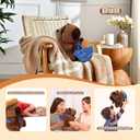 13.2" Kawaii Capibaras Peluches Ultra Soft Adorable Capybara Stuffed Animal Pillows, Huggable Capybara Plush Gift for Kids, Girls, Boys