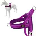 Plutus Pet No Pull Dog Harness with Breathable Mesh Padded, Adjustable Reflective Escape Proof Dog Harness, Quick Fit Dog Vest Harness for Small Medium Large Dogs(XXS, Purple) (XXS: chest 11.8"-15")