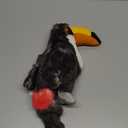 DolliBu Toucan Plush - Super Soft Toucan Stuffed Animal, Cute Tropical Rainforest Animals Figures Bird Plush Toy for Boys and Girls, Adorable Toucan Bird Toy for Kids, Teens, and Adults - 8 Inches