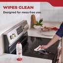 Kidde Flame Out Fire Spray, Extinguishing Aerosol for Home Use, Kitchens, Dorms, Apartments, Compact, Portable & Easy to Use, Non-Toxic, 17.6 oz 1 Pack