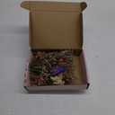 10 Pack Dried Flower Bouquets Mini Dried Flower with Stem Forget Me Not Dried Embossing Natural Flower Bundles Artificial Flower Dried Floral Arrangement for Vase DlY Wedding Decor (Forget Me Not)