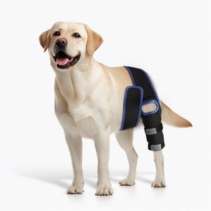 RUXAN Dog Knee Brace for Torn ACL & Hind Leg Support, Keeps The Joint Warm and Stable, Dogs Rear Leg Wrap Harness Set for Leg Wound Care and Lick Prevention - S