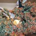 2 Pack Artificial Fall Flower Topiary Ball with Ground Spikes, UV Resistant Orange Boxwood Outdoor Faux Shrubs Plants for Fall Autumn Thanksgiving Halloween Decor, Garden Porch Yard Patio