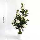 2 Pack 3FT Artificial Camellia Trees, 24 Realistic Silk Flowers & Buds, Faux Blooming Potted Plants in White Planters, 36" Fake Flowering Tree for Indoor Outdoor Home Porch Wedding Decor (White, 3FT)