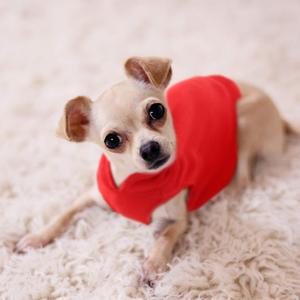 SATINIOR 4 Pieces Dog Polyester Warmer Vest Sweater Warm Pullover Jacket with D-Ring Leash Cold Weather Coat Hoodie for Small and Medium Dogs(S)