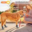BEAUTYZOO Dog Socks to Prevent Licking for Hardwood Floors -Dog Boots Shoes for Small Medium Large Dogs -Double Side Grips Traction Control Anti Slip Socks for Puppy Doggie Senior Dog, Paw Protector (Black and Gray)