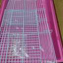 Hamster Cages, Small Animal Travel Cages - Ideal for Temporarily Transporting or Carrying Hamsters, Guinea Pigs, Rats, Parrots, Birds, Squirrels and Other Small Animals.