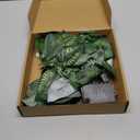 6.56FT Green Vines Garland with Lights 96 LED Battery Operated with Timer Faux Photos Vines Twig with Lights Spring Garlands Decortions for Mantel Fireplace Table Wall Patio Wedding Holiday Home Decor (Golden Pothos)